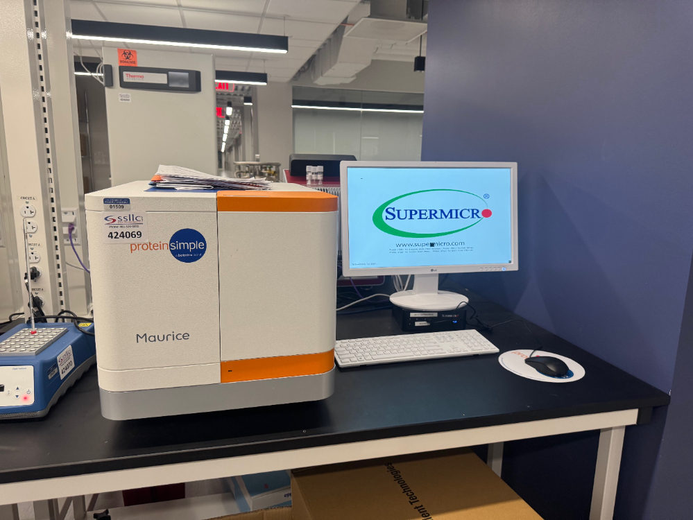 Image of ProteinSimple Maurice ICE System